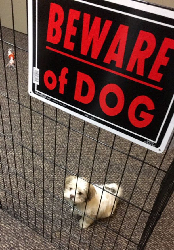 Beware Of The Dog