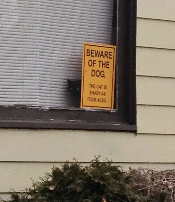 Beware Of The Dog