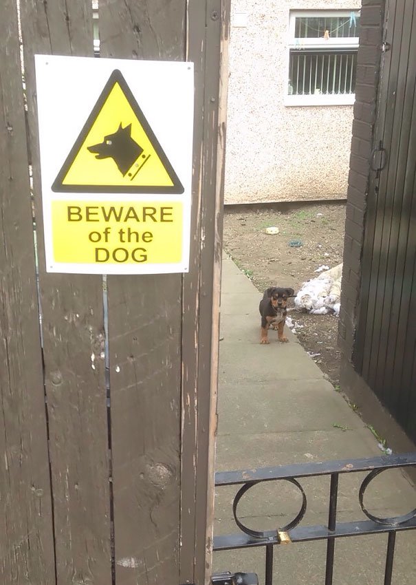 Beware Of The Dog