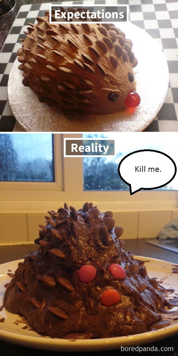 Chocolate Hedgehog Cake