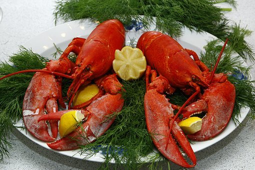 새우, 요리, 덴마크어, Limfjord 랍스터, 딜, 해산물 새우, 요리, 덴마크어, Limfjord 랍스터, 딜, 해산물, 진미
