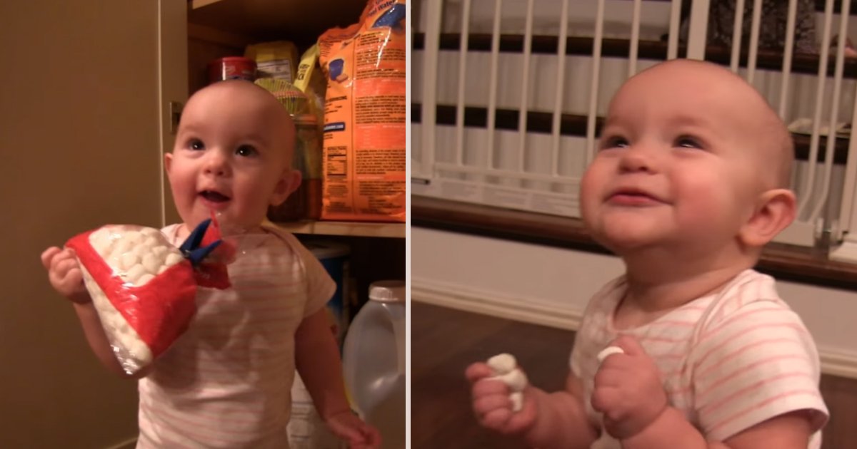 a 6.jpg?resize=1200,630 - (Vídeo)Gêmeas muito fofas encontram pacote de marshmallows na cozinha