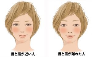 眉と目の間が広い人必見 眉と目の間を近づけて美人顔にする方法 Hachibachi