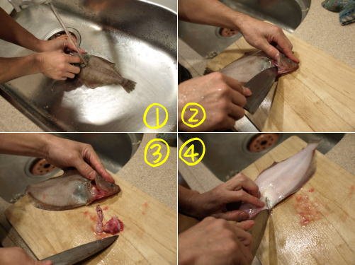 カレイの煮つけはタレが命 その配分は Hachibachi