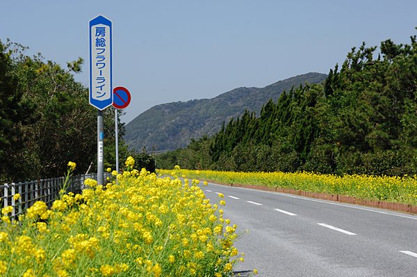 関東 ドライブ