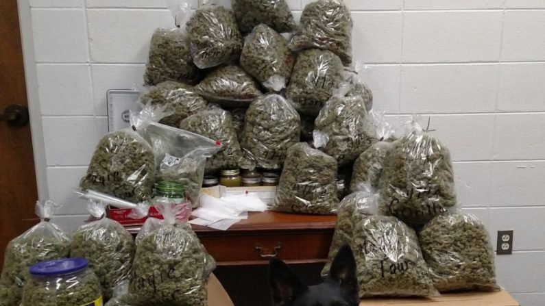 eba788eba6aced9994eb8298.jpg?resize=648,365 - Elderly Couple Arrested For Having Marijuana As "Christmas Presents"
