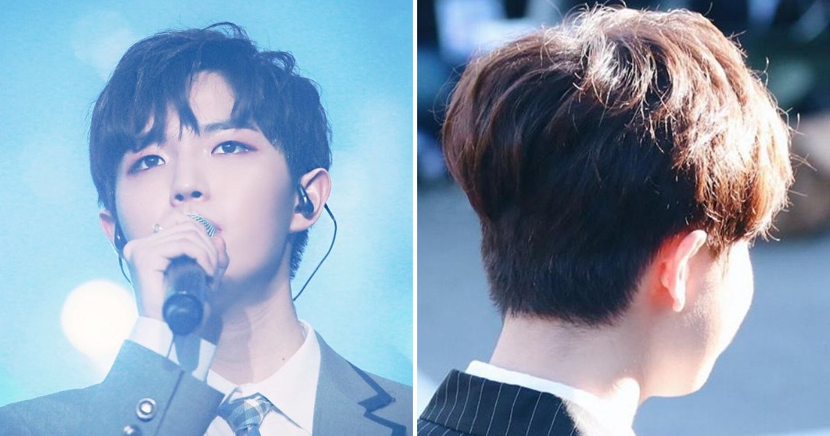 ec84b8.png?resize=1200,630 - 워너원 '김재환' 팬들이 그의 '45도 각도'만 찾는 이유(+6)