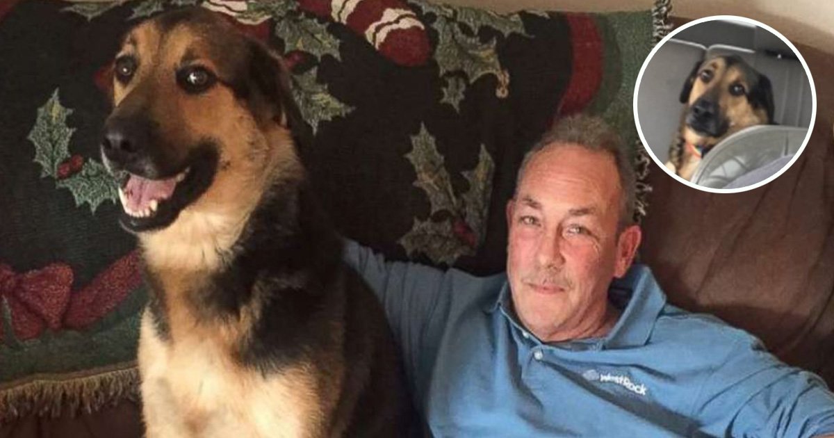 ec8db8eb84ac7 11.jpg?fit=1024%2C538&ssl=1&strip=all - Dad Babysits Daughter's Dog, His Hilarious Updates Of Him And The Pooch Having Fun Went Viral