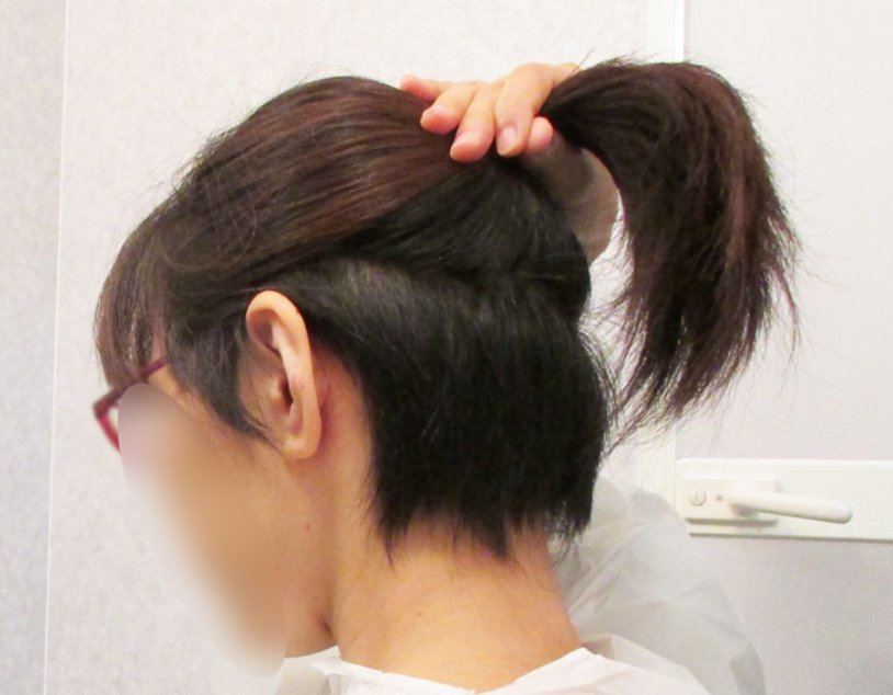 セルフカットで最も慎重になるべきは後ろ髪 Hachibachi セルフカットで最も慎重になるべきは後ろ髪 Hachibachi