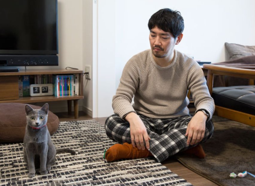 猫好き男子の特徴は 性格や生活スタイルの傾向を紹介 Hachibachi 猫好き男子の特徴は 性格や生活スタイルの傾向を紹介 Hachibachi