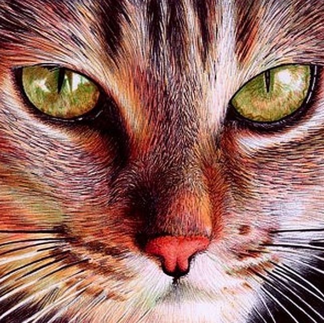 知っておきたいボールペン画の技法5選 参考イラストなども紹介 Hachibachi 知っておきたいボールペン画の技法5選 参考イラストなども紹介 Hachibachi