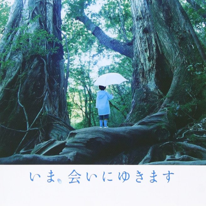 邦画 恋人と観たい 日本の泣ける恋愛映画5選 感動 Hachibachi