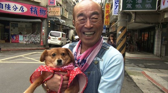 志村けんの 犬への愛 は凄まじい 自宅にワンちゃんの部屋まで作った Hachibachi