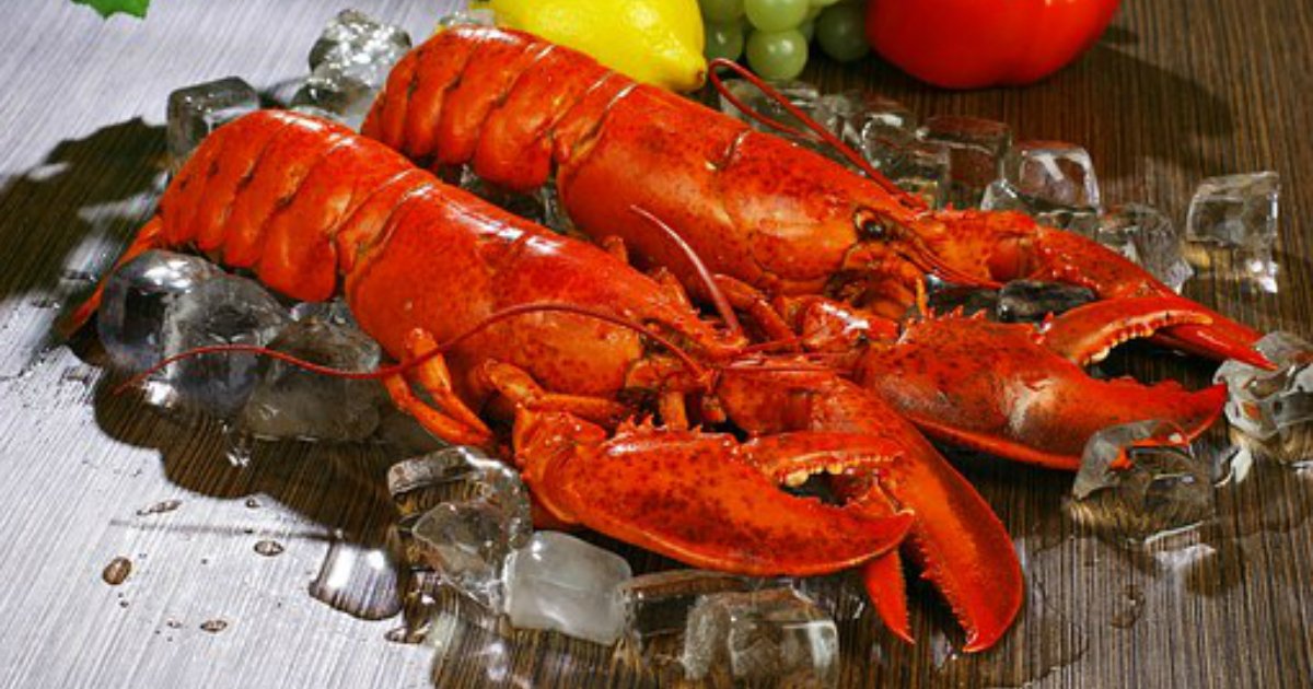 lobsters 1527602  340.jpg?resize=412,275 - 스위스에서는 ‘바닷가재’ 산 채로 끓는 물에 넣으면 ‘처벌’받는다