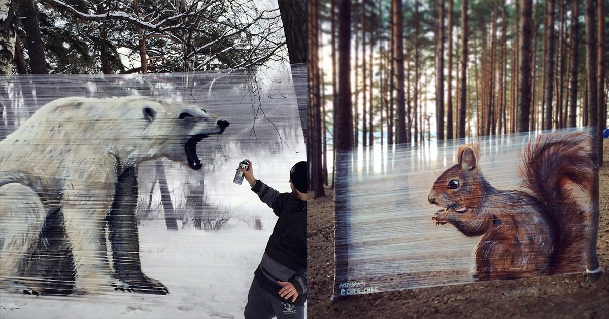 mainphoto cello.jpg?resize=412,232 - Des graffitis incroyables en forêt sur... de la cellophane!