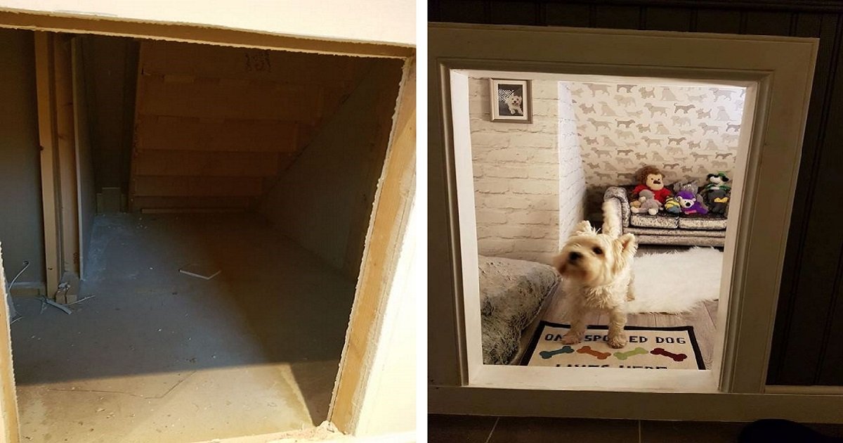 molly3 1.jpg?resize=412,232 - Homem cria um quarto especial para seu cachorro debaixo da escada depois de descobrir que terá um bebê