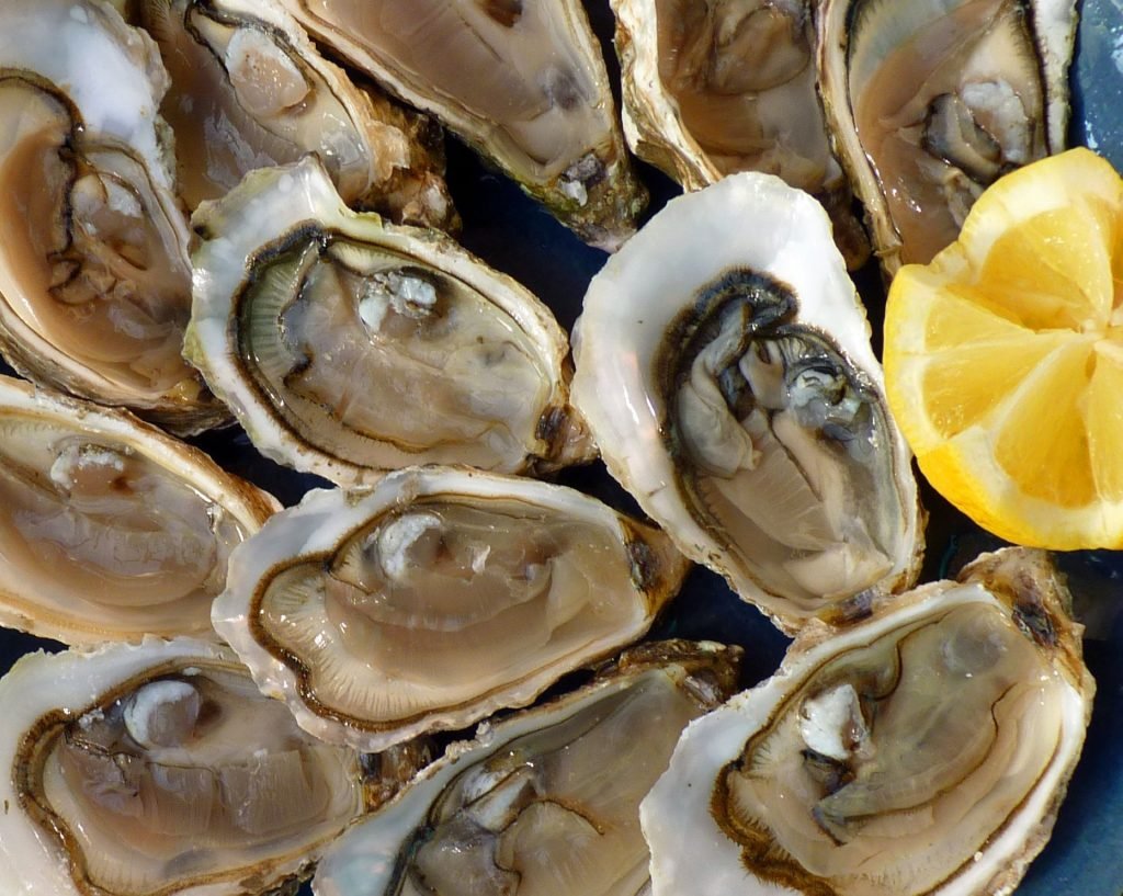 oysters-1958668_1920