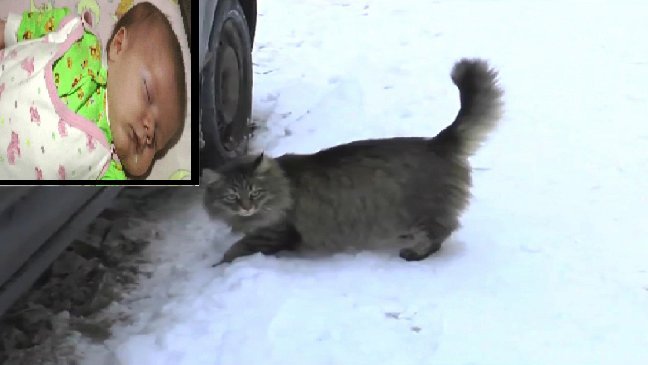 thumb nail baby freeeeeze.jpg?resize=412,232 - Un chat sauve la vie d’un bébé abandonné dans l’hiver glacial russe