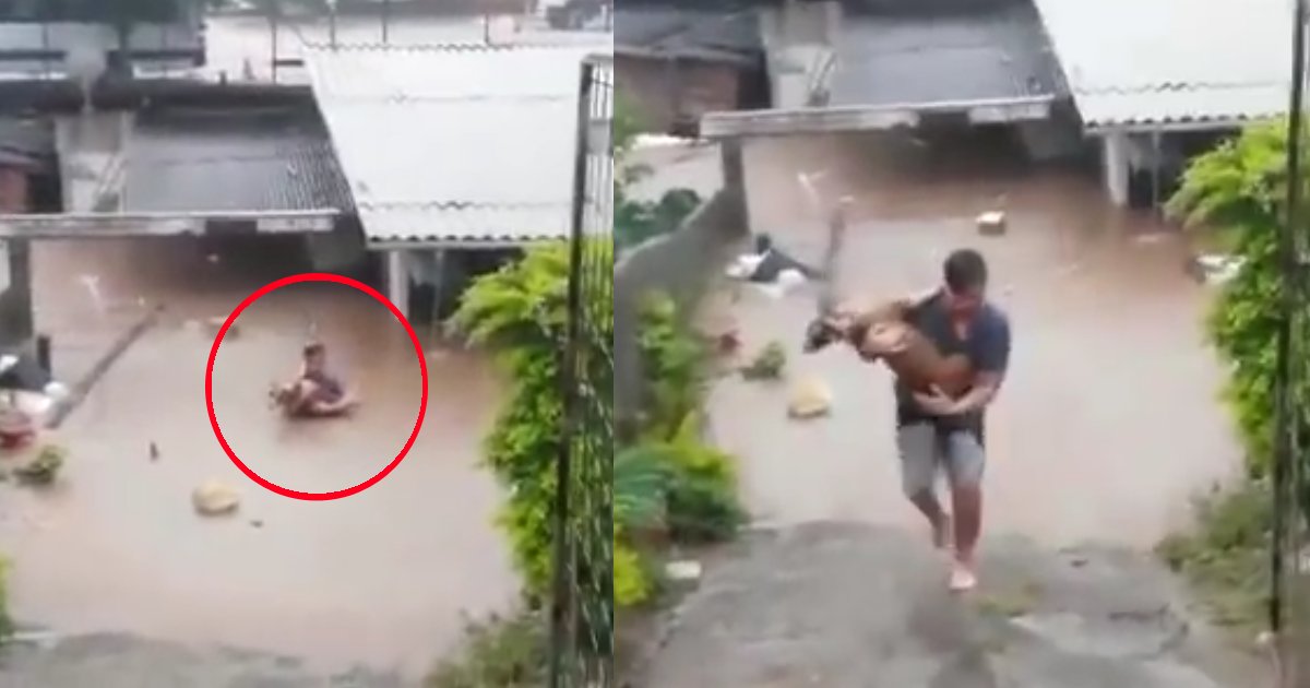 thumbnail5rre.png?resize=412,232 - Homem arrisca a própria vida para salvar uma cadelinha em uma enchente