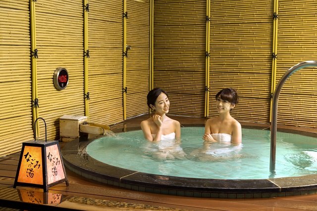 武蔵野天然温泉なごみの湯에 대한 이미지 검색결과