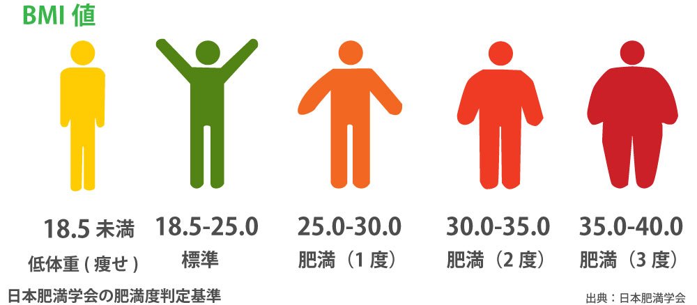 bmi,理想에 대한 이미지 검색결과