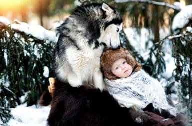 wolf-human-baby-384x253