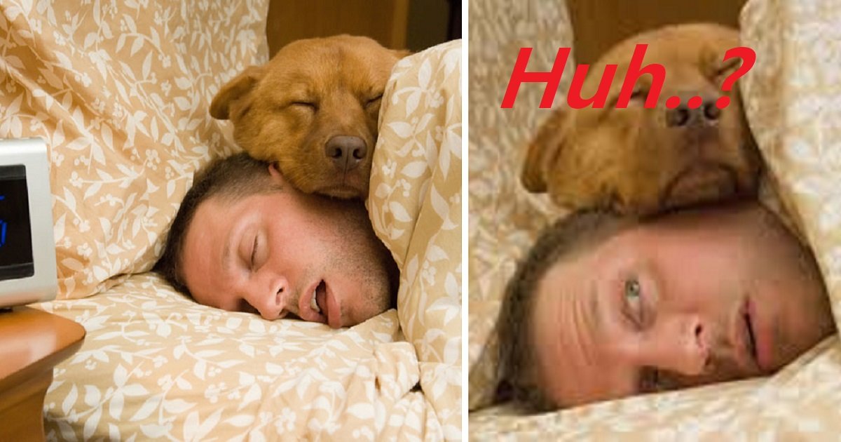 6hfgmj.jpg?resize=1200,630 - La façon dont vous dormez avec votre chien raconte tout de votre relation