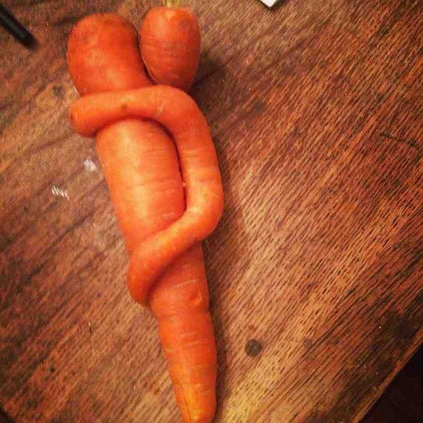 爆笑 面白い形の野菜 写真16 Hachibachi 爆笑 面白い形の野菜 写真16 Hachibachi