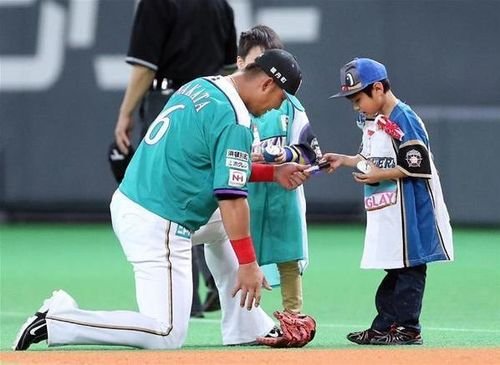 田野岡大和　野球에 대한 이미지 검색결과