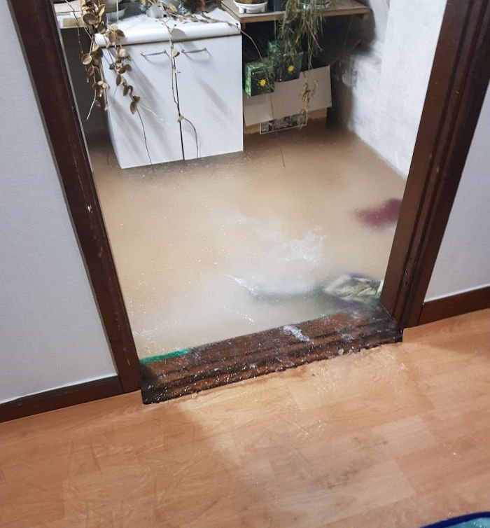 인사이트