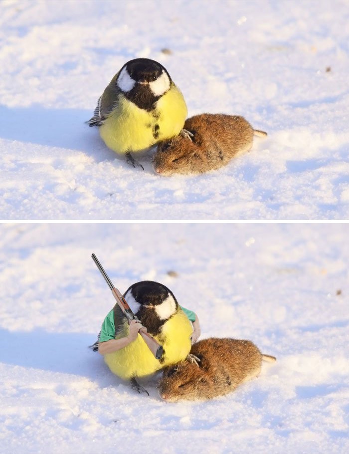 A Tit And Showing Off It's Prey A Tit And Showing Off It
