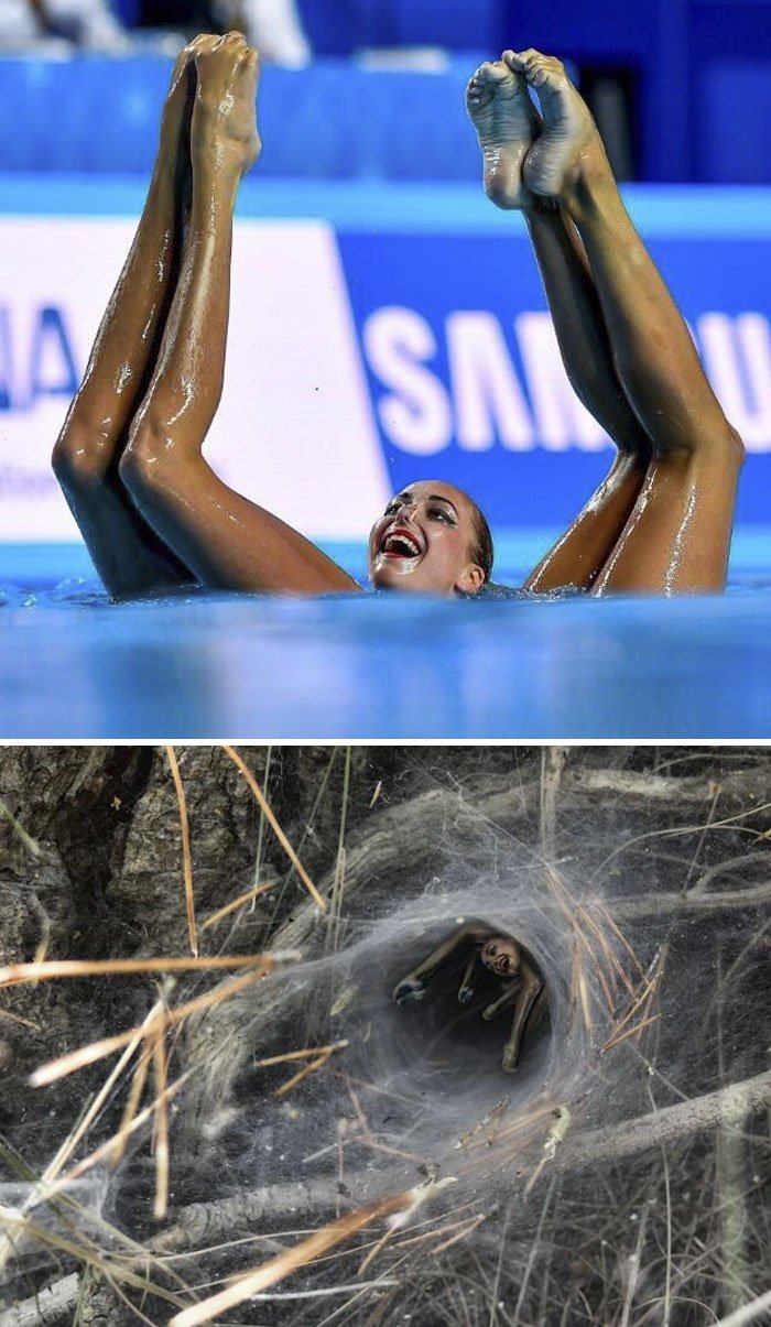 Aqua Dancer Aqua Dancer