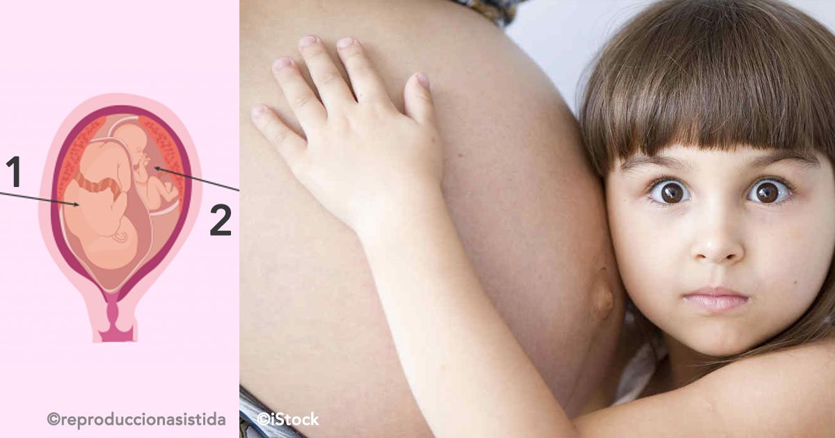 cover 76.jpg?resize=412,232 - Superfetación, son los casos de mujeres que estando embarazadas vuelven a embarazarse