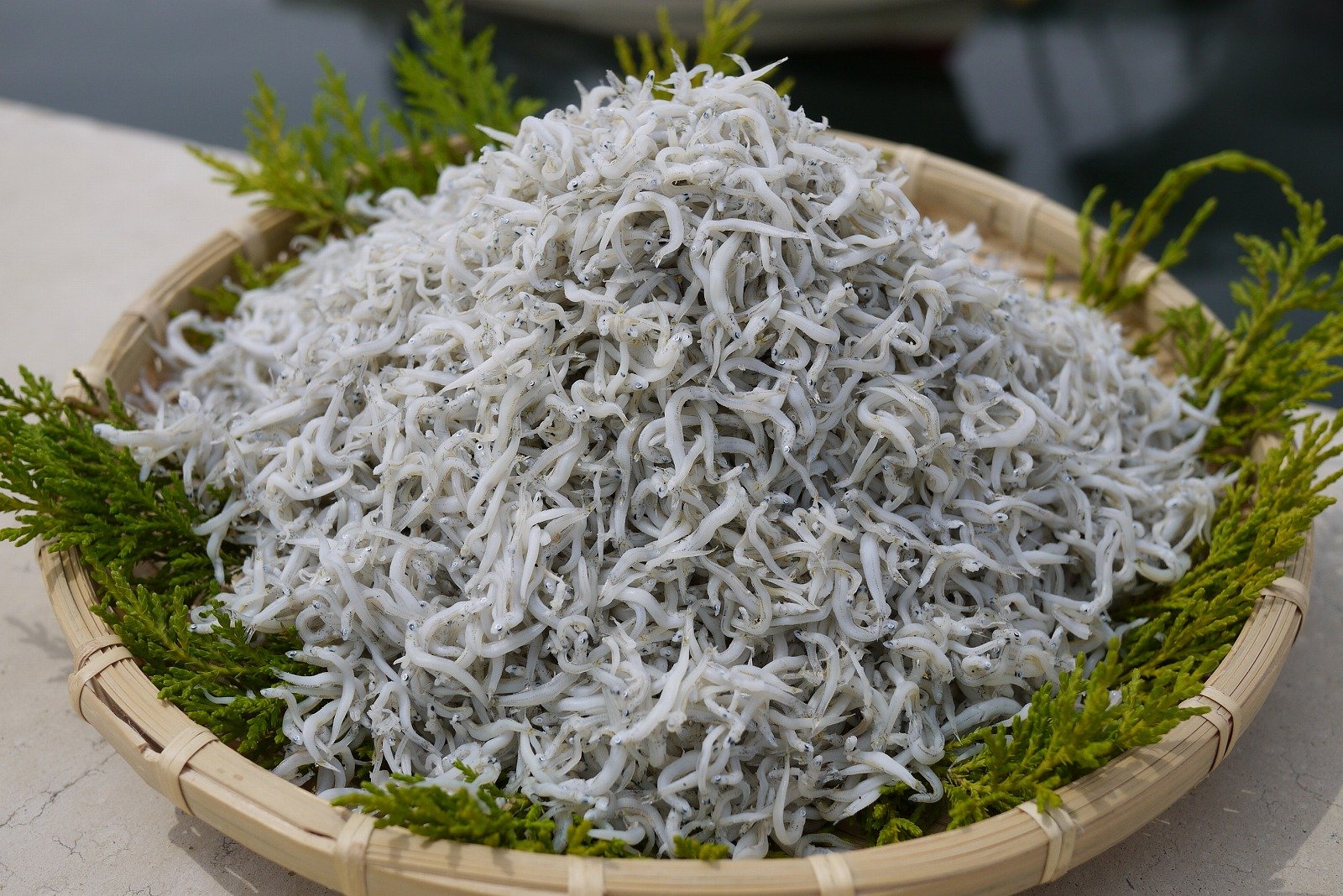 ちりめんじゃことの違いは 魚のしらすの知識 Hachibachi ちりめんじゃことの違いは 魚のしらすの知識 Hachibachi