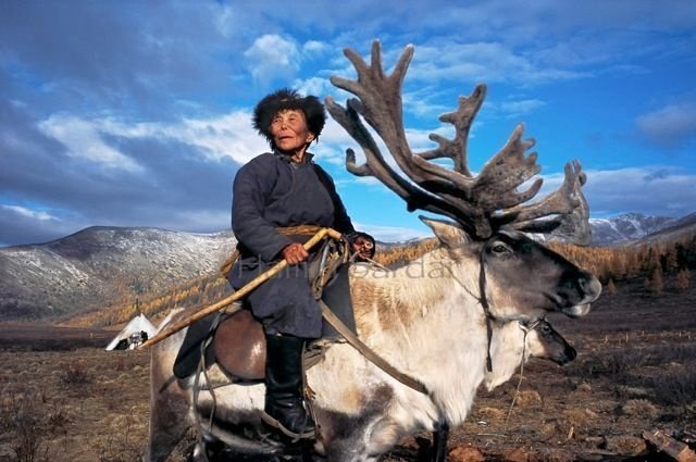 dukha-tribu-mongolie-renne-2