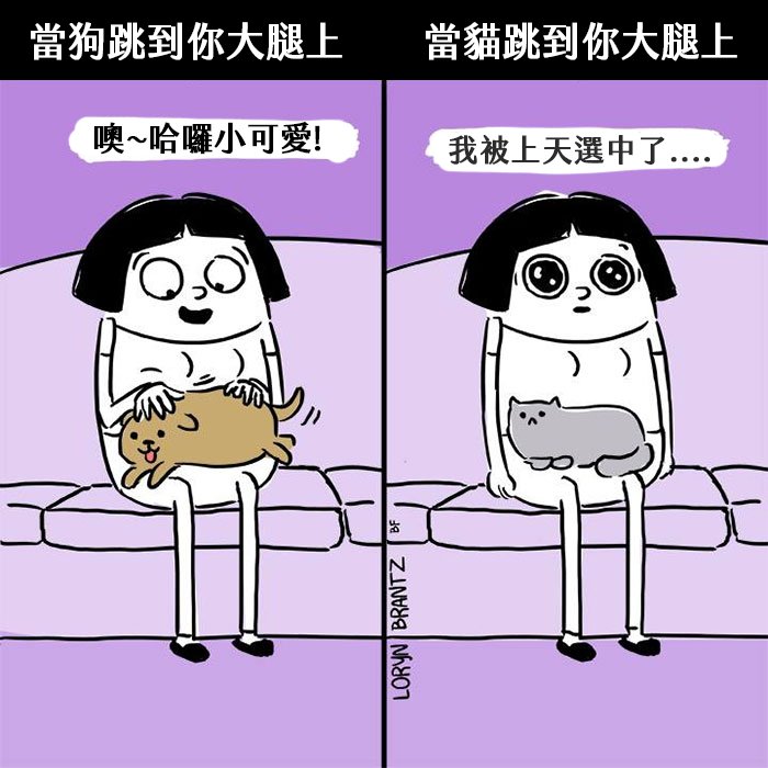 funny-cats-vs-dogs-comics-24-59c12a33a31a7__700
