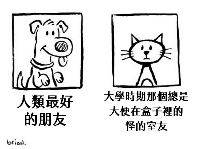 funny-cats-vs-dogs-comics-44-59c8e729c80cc__700
