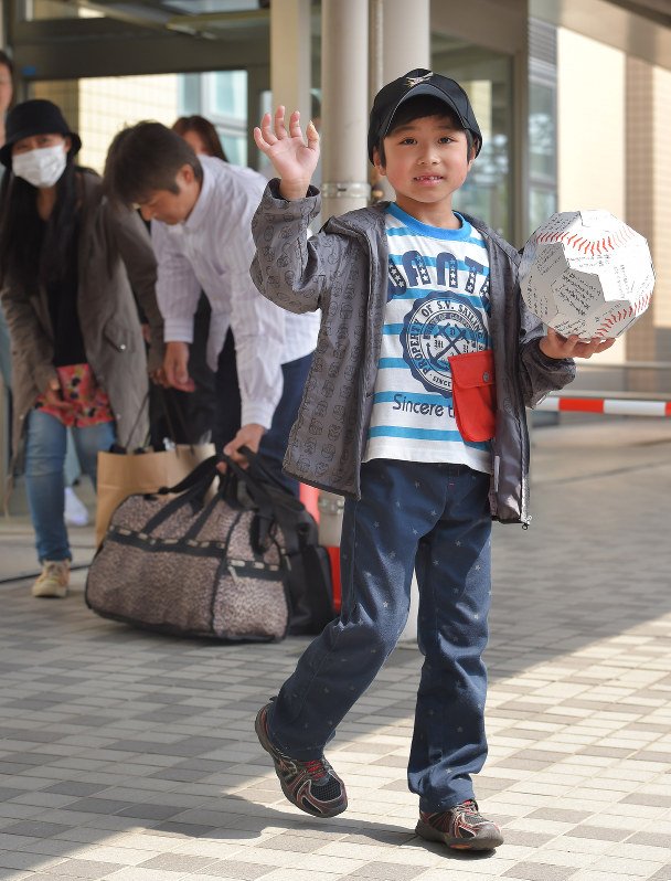 田野岡大和에 대한 이미지 검색결과