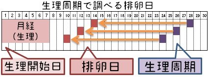Image result for オギノ式 計算