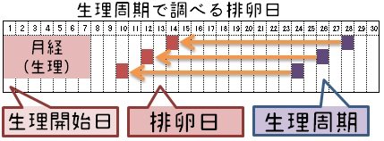 生理 安全日