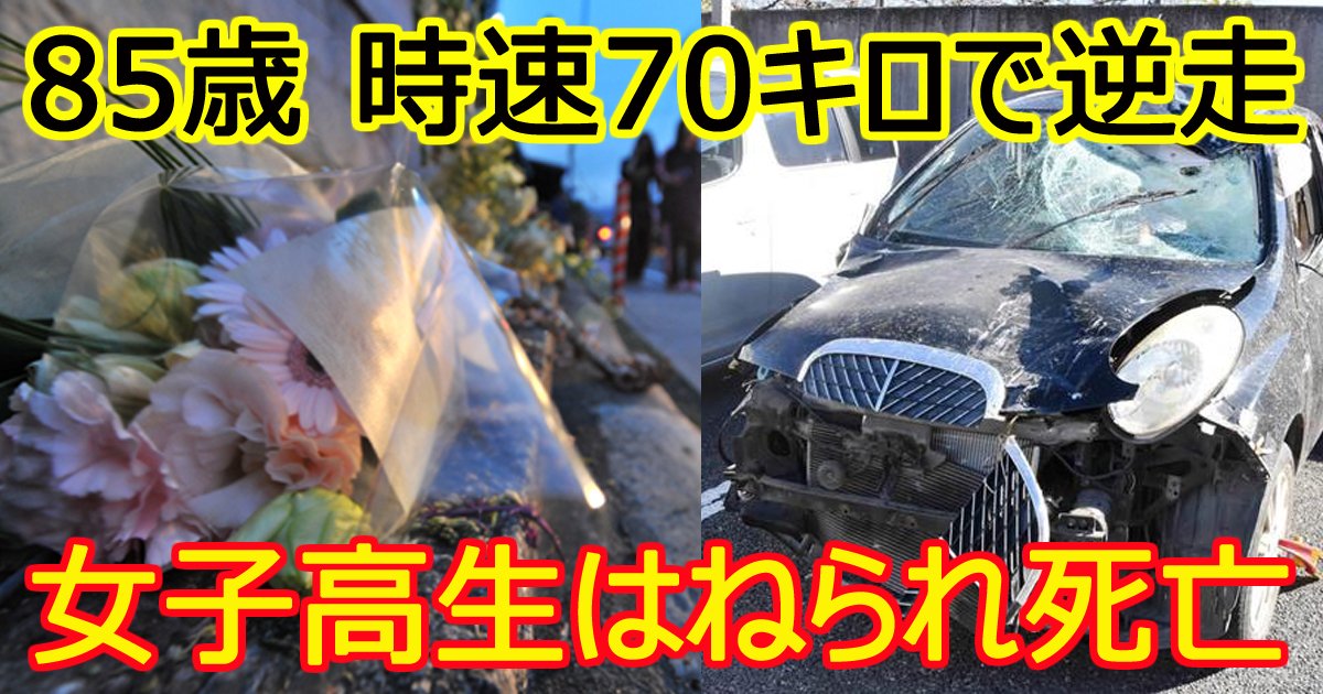 koureidriver.jpg?resize=412,232 - 85歳運転の車が逆走！高1女子がはねられ死亡