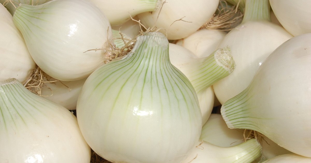 peeled white onion.jpg?resize=1200,630 - '깐 양파'를 판매한 영국 마트에 비난이 쏟아진 이유