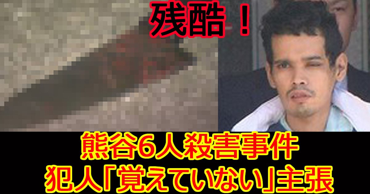 skumayasatuzinnzikenn.jpg?resize=412,232 - 「覚えていない」「猫が言った」…熊谷６人殺害事件公判