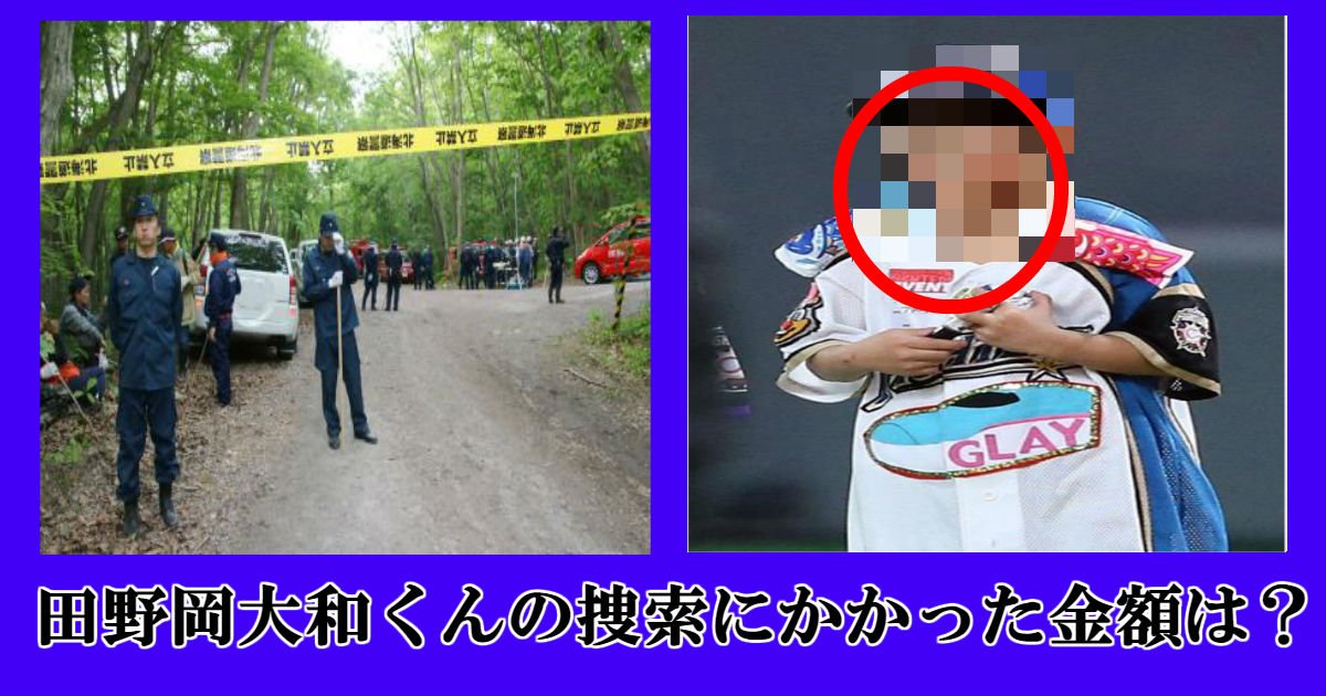 ss 2.jpg?resize=412,275 - 北海道置き去り事件の田野岡大和くん。実際、捜索にかかった費用は？