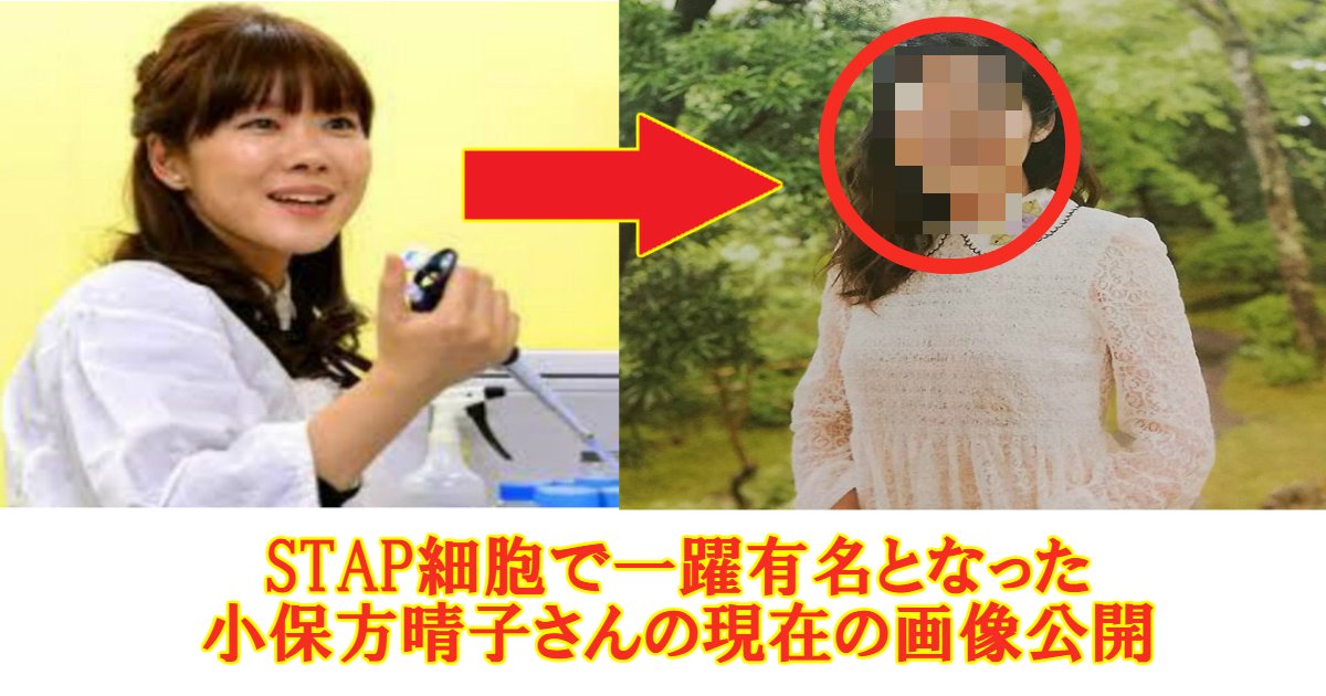 stao.jpg?resize=412,232 - STAP細胞・小保方晴子さんの今現在何してるの？現在の画像を公開！