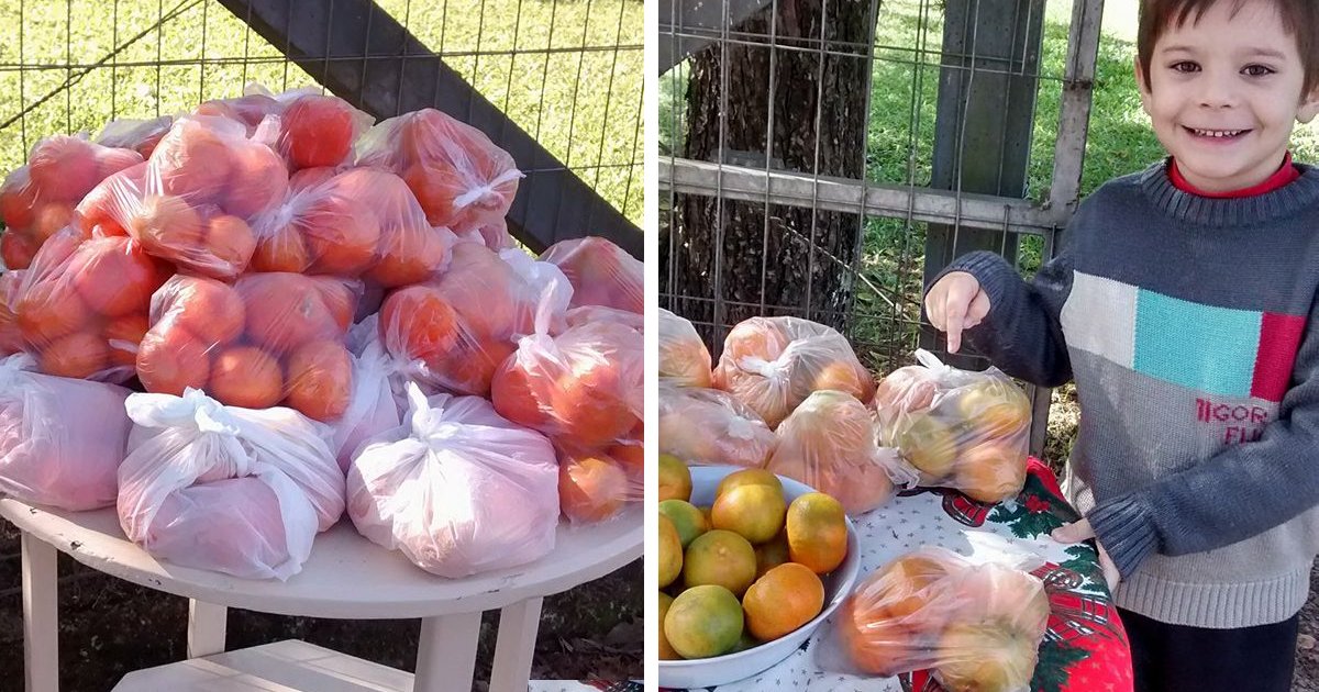 thumbnail5g7.png?resize=1200,630 - Família deixa sacos com tangerinas na frente de casa, para que qualquer um possa pegar