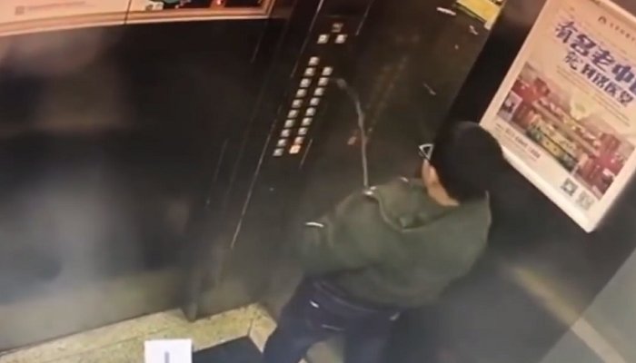Vídeo do Youtube '熊 孩子 冲 电梯 按键 便, 结果 悲剧 了'