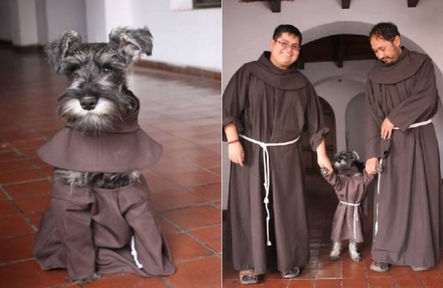 1488741635605.jpg?resize=412,232 - Monges bolivianos adotam cãozinho de rua e fotos viralizam na Internet