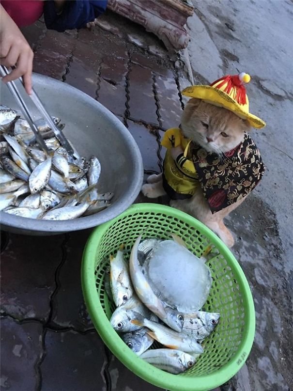 Le Quoc Phong