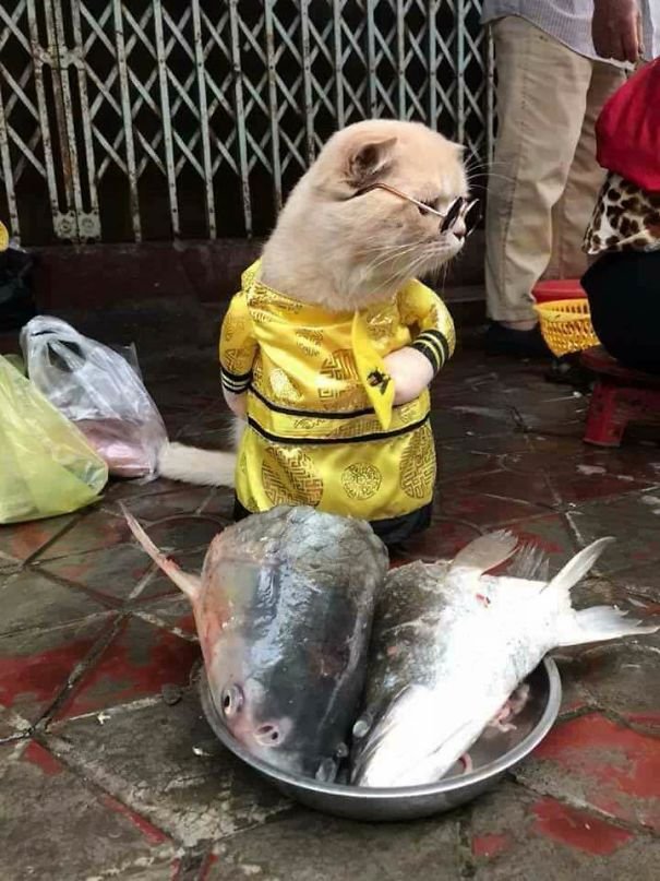 Le Quoc Phong